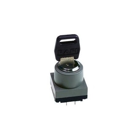 Rafi Micromec Keylock Switch Ip54 2X9 3.13.026.851/0000